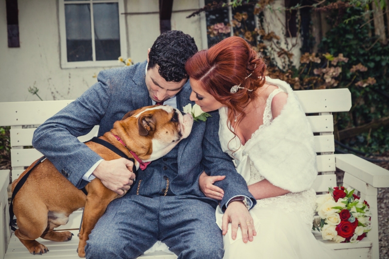 Bride and groom kissing their English bulldog